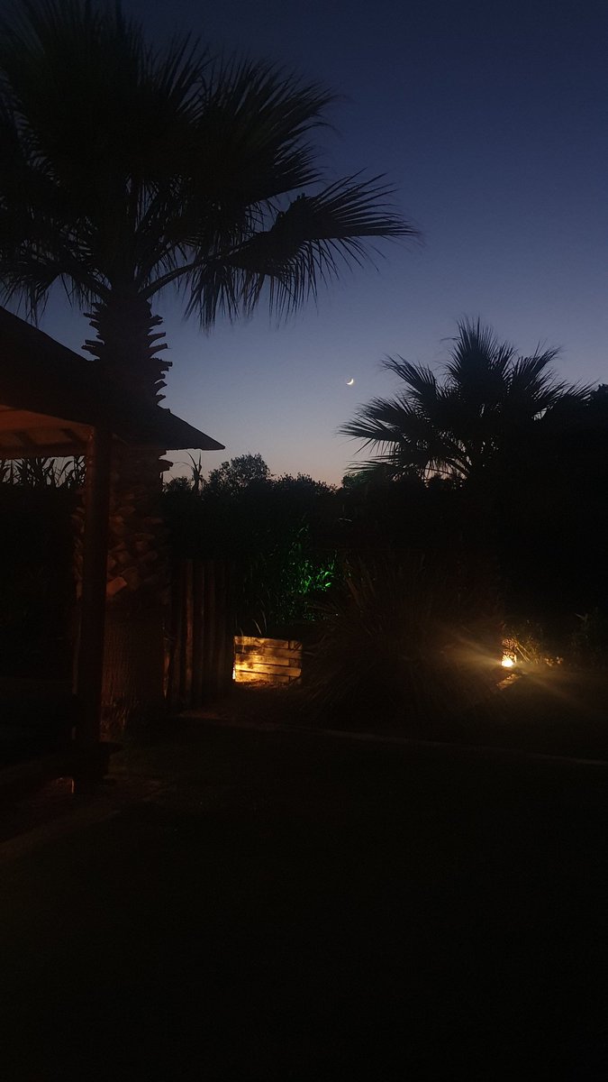 💫