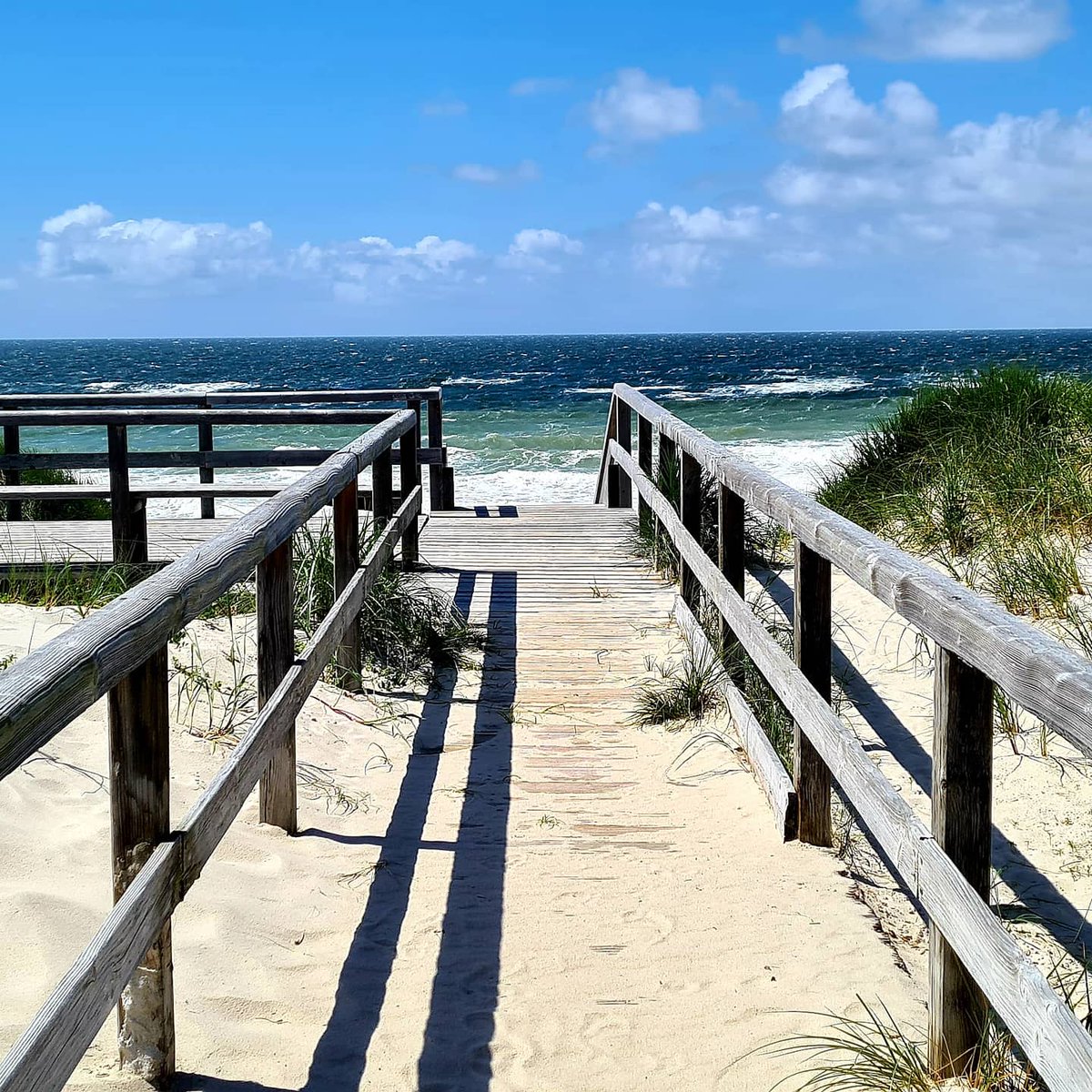 Sylts sonniger Süden #pug #peterulfgeisler #hörnum #sylt #nordsee