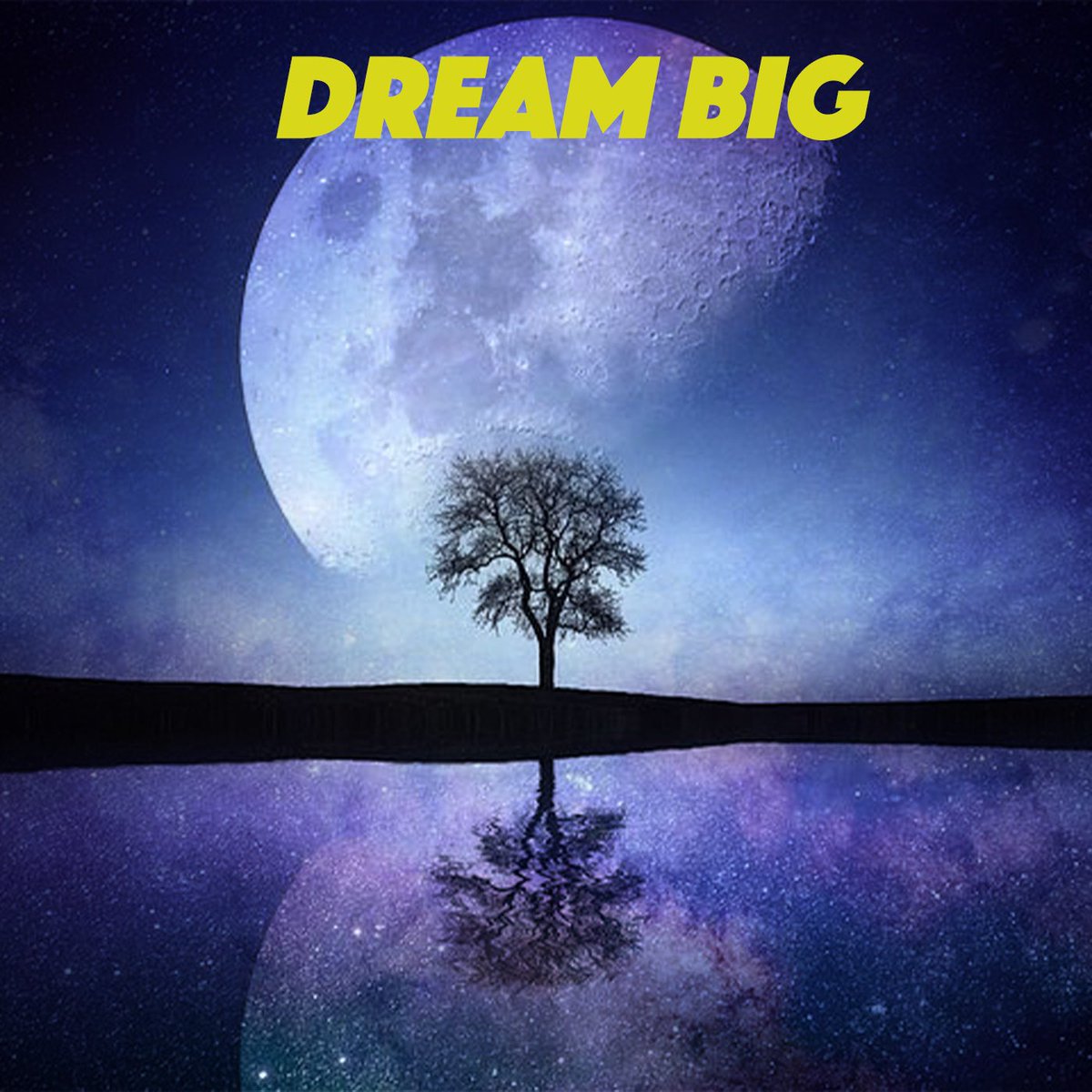 You’ll never hit a target you don’t aim at - dream big and go for it!
#ZIGGY #Motivation #inspiration #Success #dream #DreamBig #Respectfully