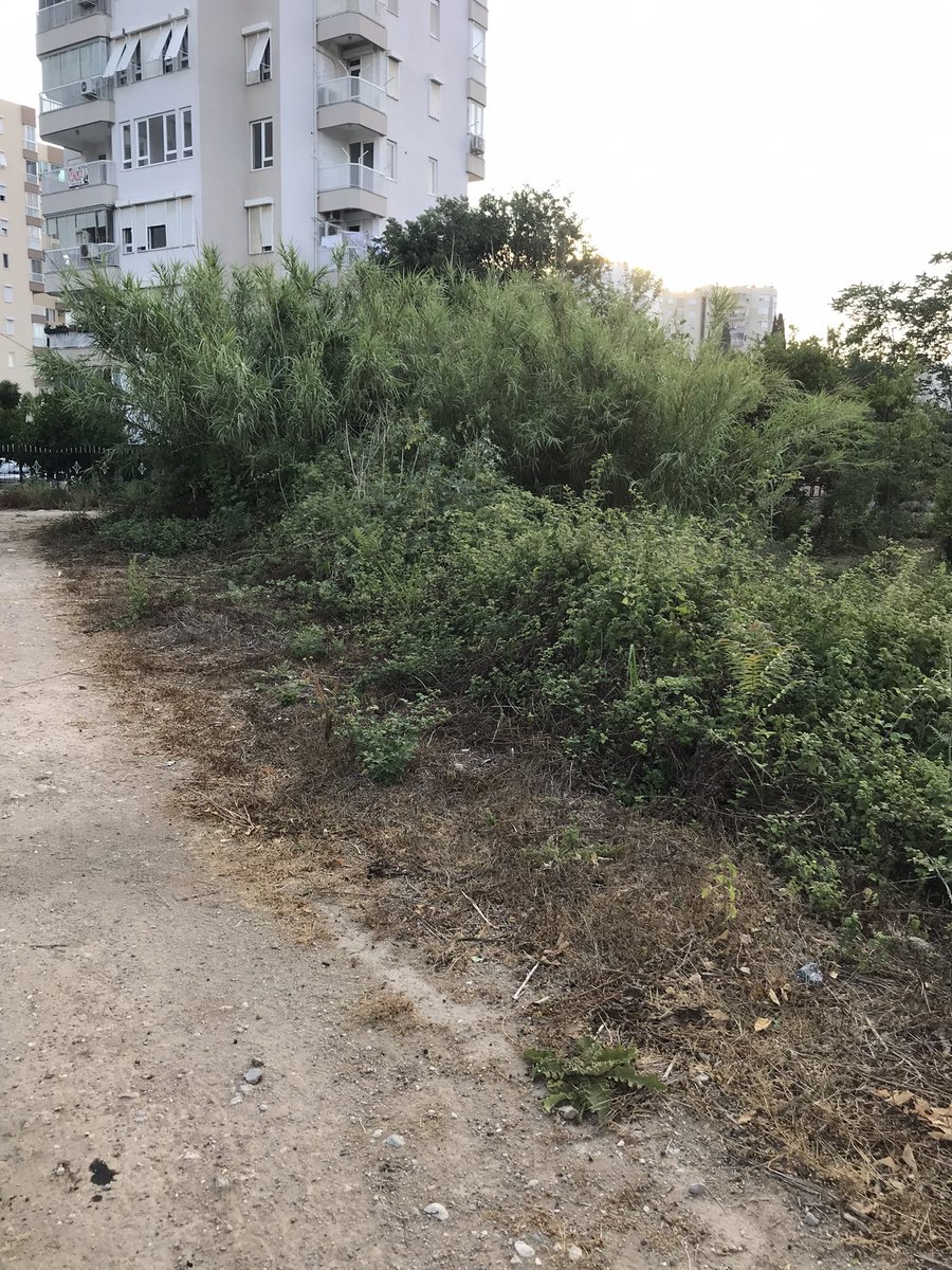 samiacar07's tweet photo. TURİZİM ŞEHRİ ANTALYA NIN ORTASINDA 35 YILLIK ÇİLEMİZ https://t.co/XLgwWHsFsT