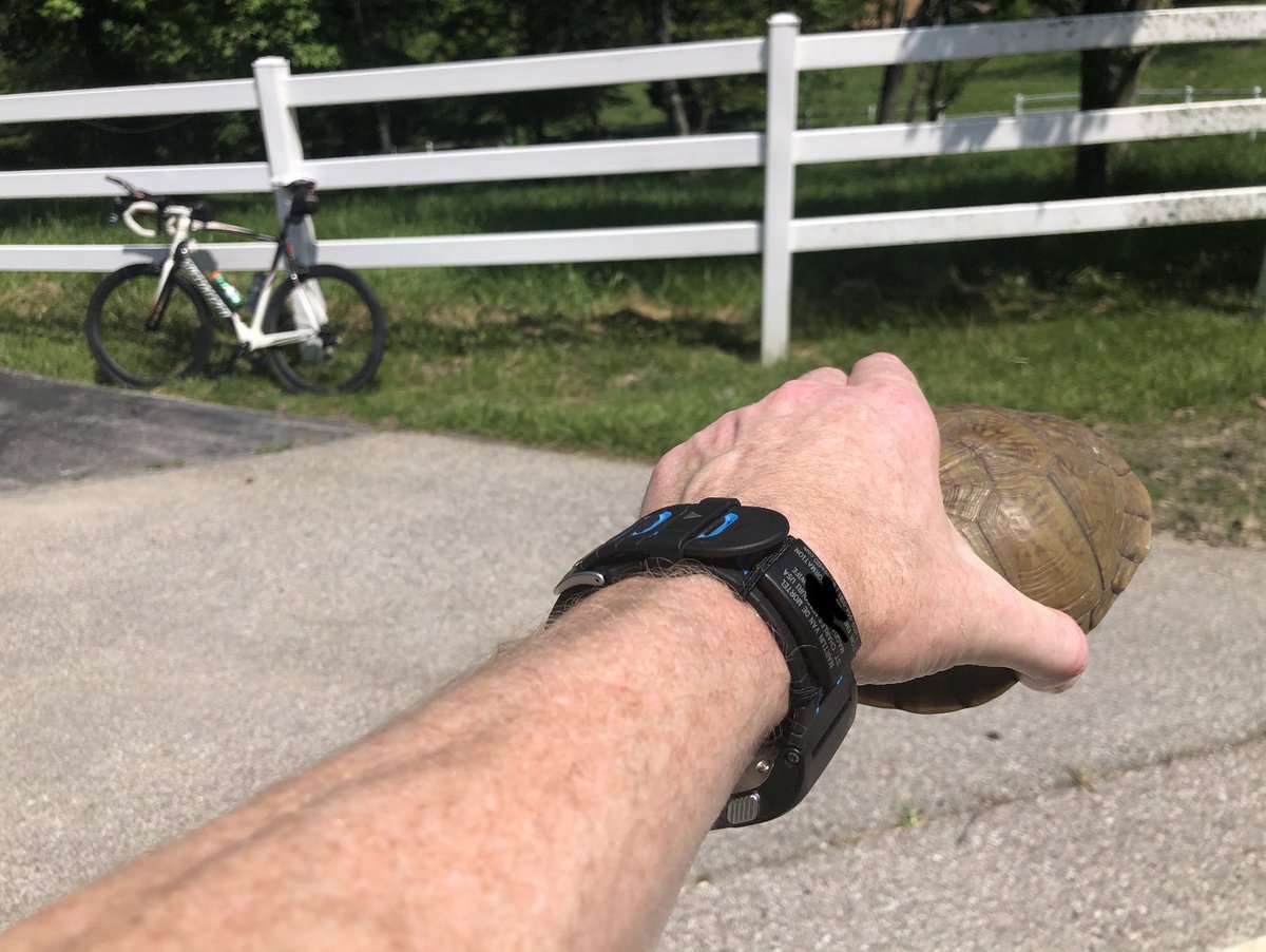 Martijn van de Mortel tweet media