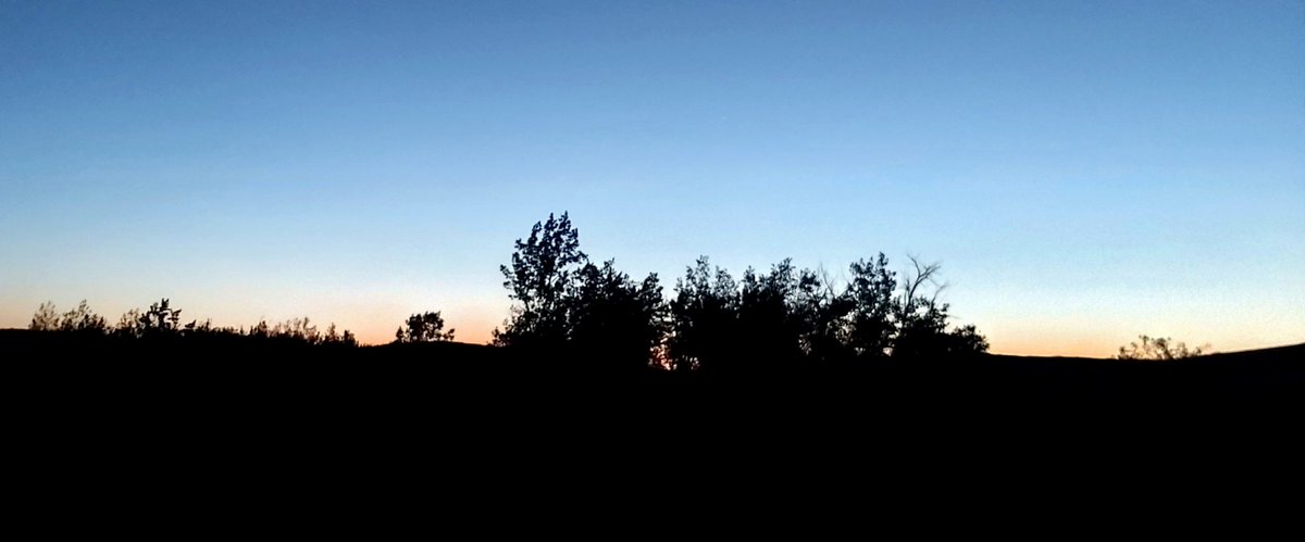 Early morning photo taken from the roof of my Jeep as we wait to check out the sunset at the sand dunes!

#sasktrails #sunrise #SaskTrailsPhotoContest #Jeep #earlymorning #Idroveallnight #thensleptforfortyminutes #thenwalkedfivethousandsteps #atfourinthemorning #adventures #trees