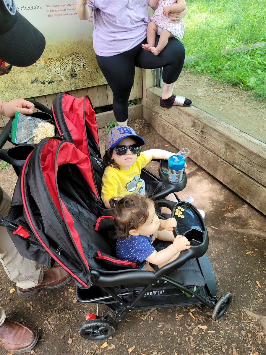 FallonMacSmore's tweet photo. Was out with the babies to the Zoo 😊 momma life https://t.co/h1RdsmURT5