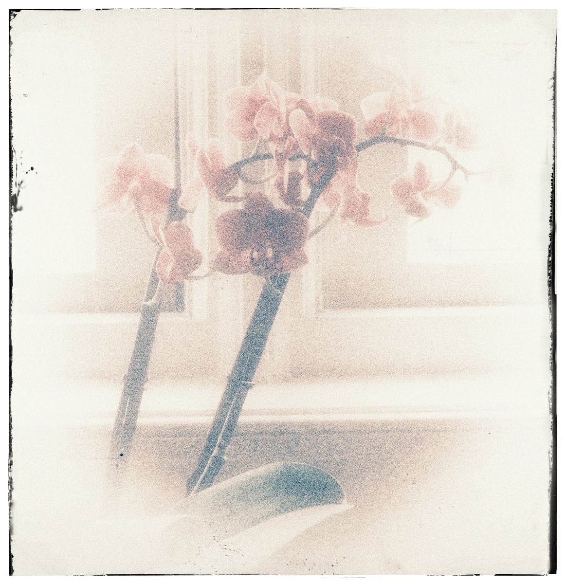 AlanComber's tweet image. #636