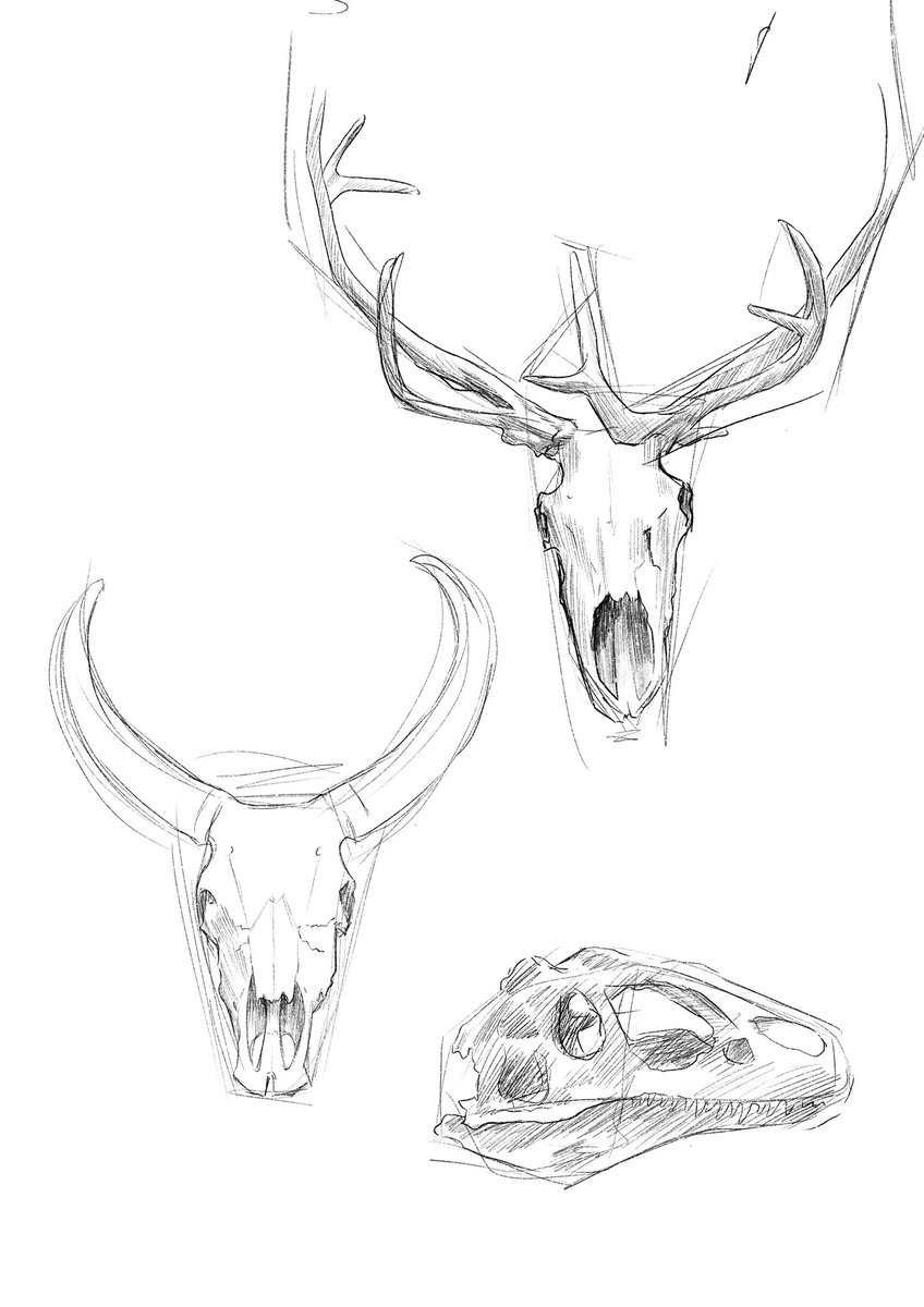 KSillustrates's tweet photo. Even though I wish it could have been with @OxDoodleClub I spent a lovely chilled afternoon yesterday at @morethanadodo doing some sketches 🦅🦖 https://t.co/JRByOd9fmv