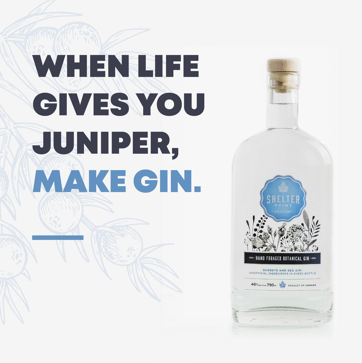 Shelter Point Distillery (@shelterpoint) on Twitter photo We all know that feeling 😉🍸... Happy #WorldGinDay from all of us <a href="/shelterpoint/">Shelter Point Distillery</a> !
#gin #bcspirits We all know that feeling 😉🍸... Happy #WorldGinDay from all of us <a href="/shelterpoint/">Shelter Point Distillery</a> !
#gin #bcspirits