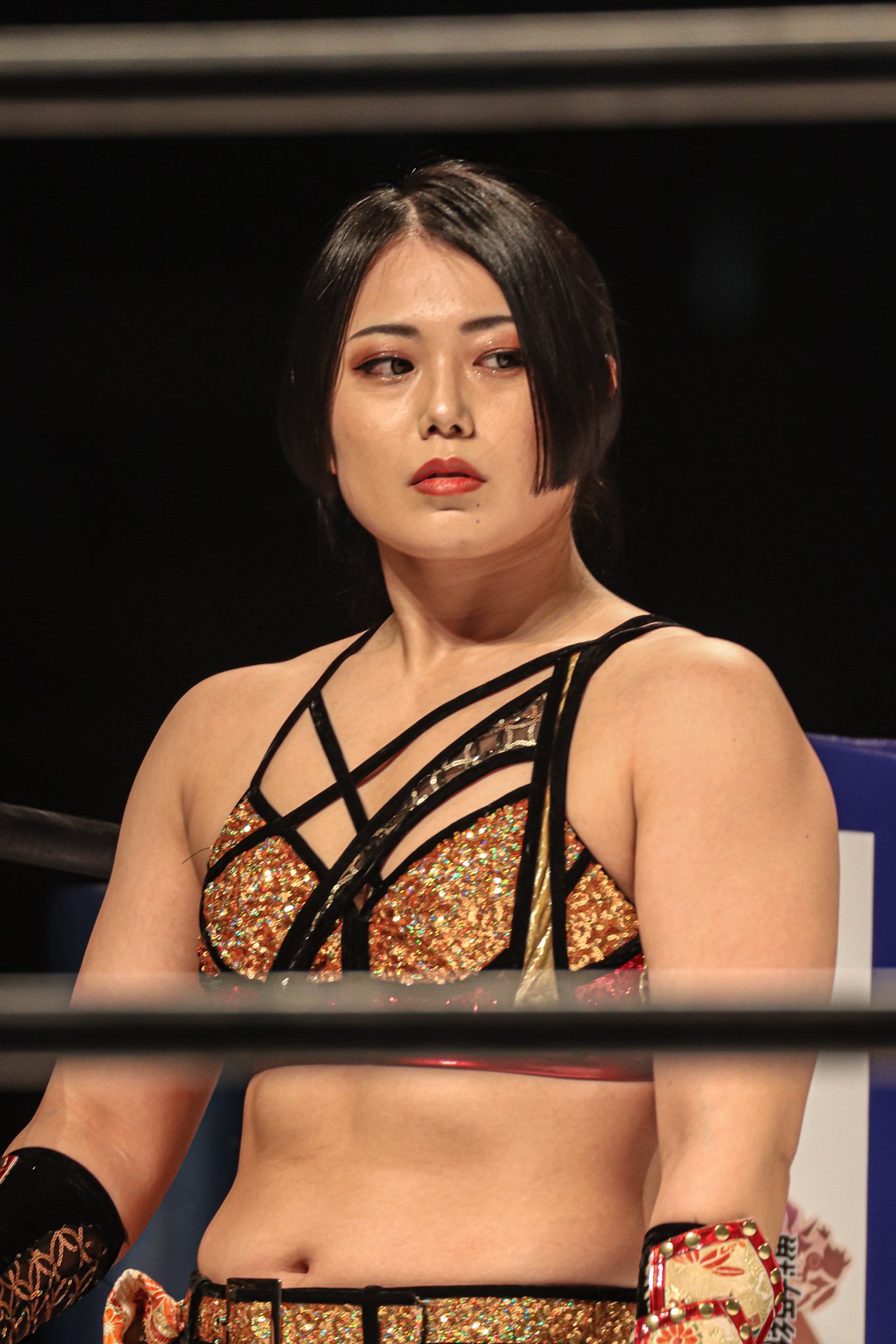 Twitter 上的 Tomohiro 21 6 12 スターダム 大田区総合体育館 舞華選手 Stardom スターダム 舞華 Ddm T Co Xo44nldsn1 Twitter