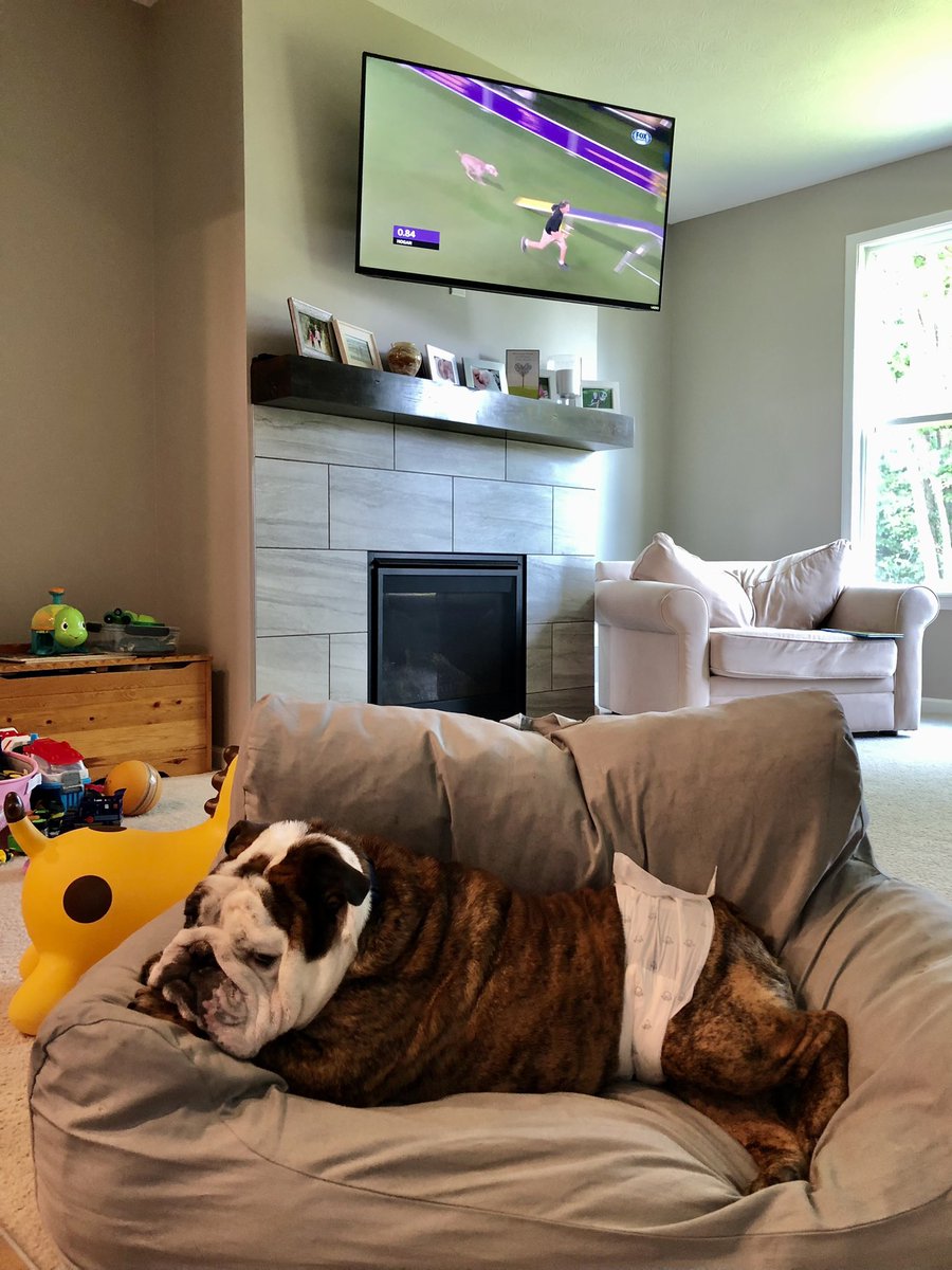 Impressed by the agility. But not impressed enough to get off my couch 🛋🥔