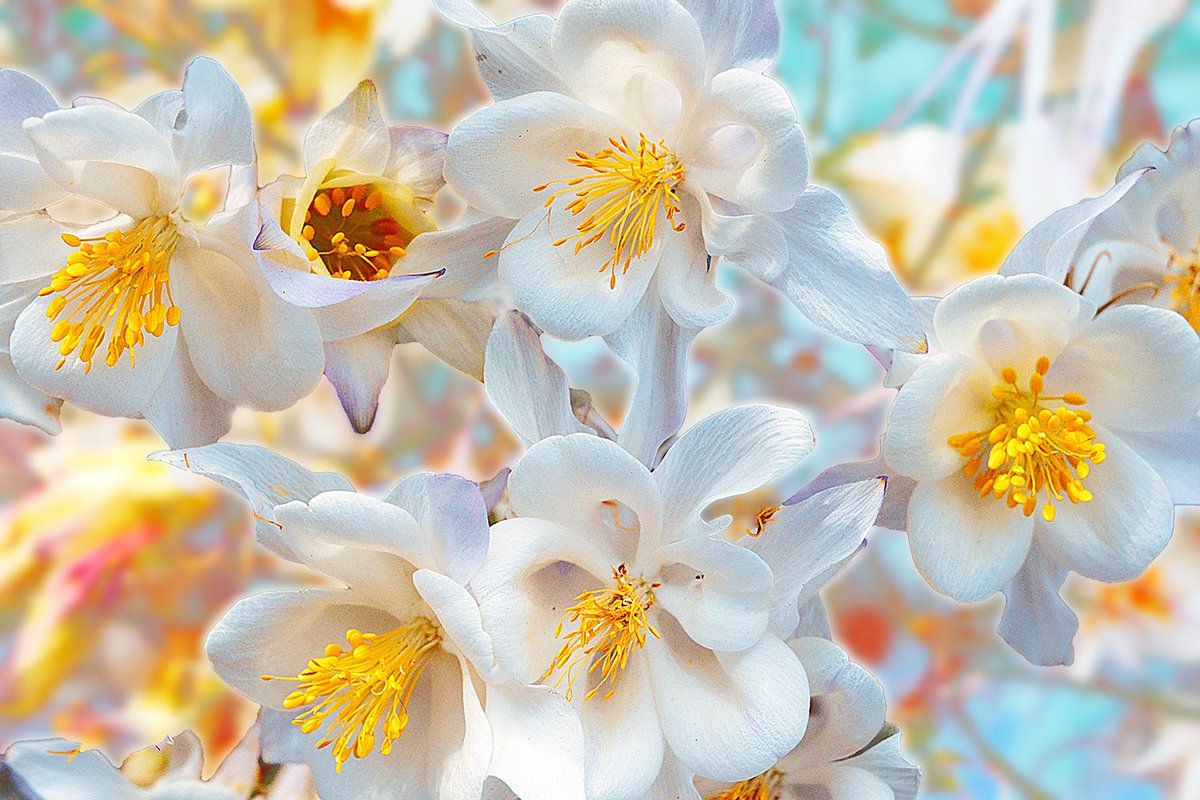 That's what the name #Columbine should stand for...