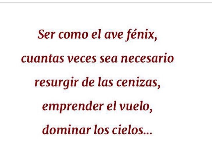 Gera_ramirez20's tweet photo. https://t.co/QkEUia40Wa