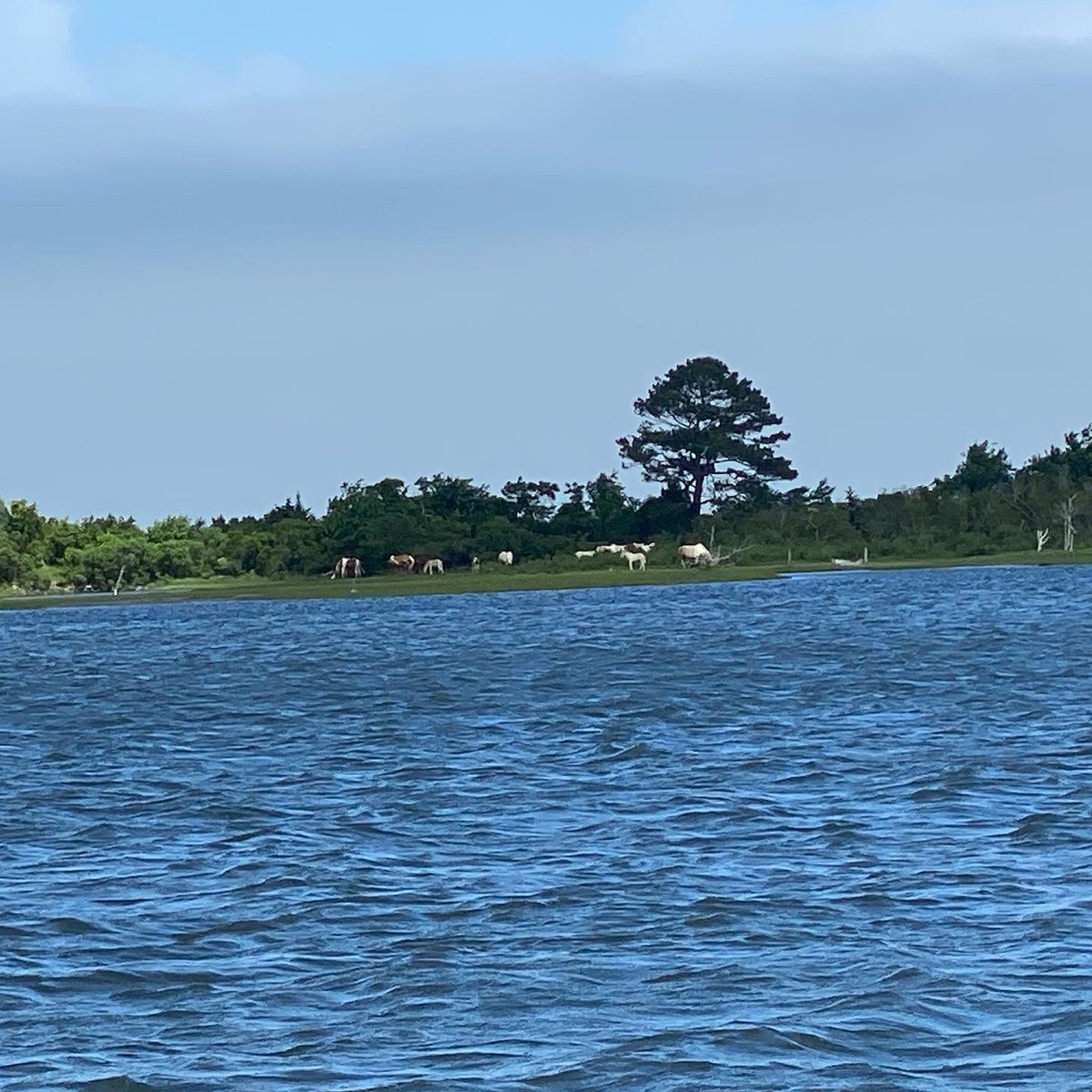 Mike “IKE” Iaconelli tweet media