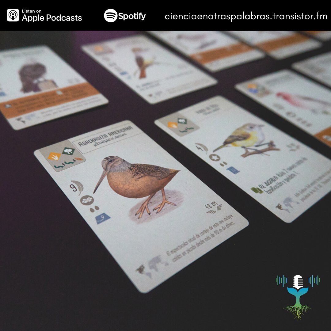 csotraspalabras tweet media