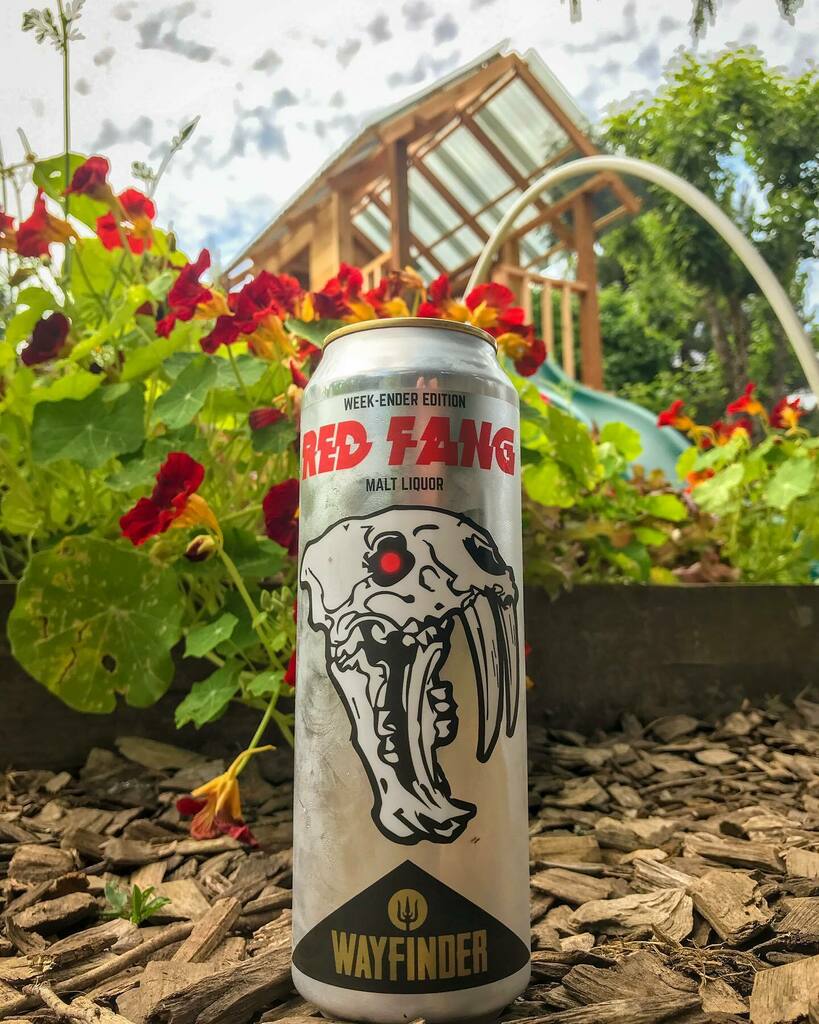 Hopstories's tweet photo. #hashbrowns if you know, you know. @commonfieldscorvallis @wayfinderbeer #maltliquor https://t.co/IpibtVTViV https://t.co/QlXcpaI3fo
