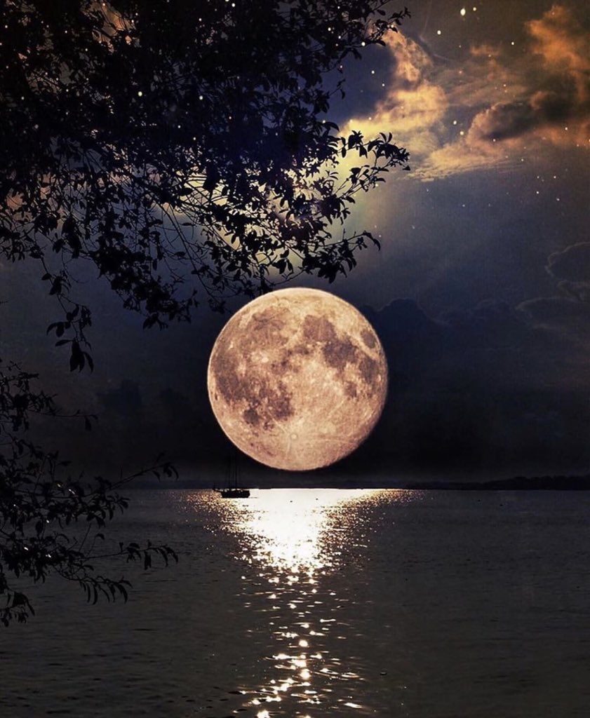 ooofff222's tweet photo. #صوره_عن_الف__كلمه https://t.co/MIfBETQKh9