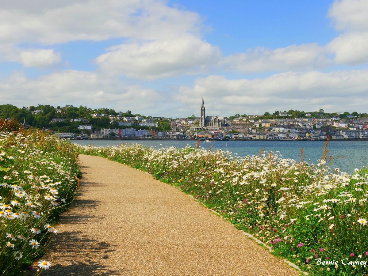 Bernie Carney (@carneybernie) on Twitter photo Cobh looking resplendent from Haulbowline Park yesterday 😍 <a href="/CobhTidy/">Cobh Tidy Towns🌻</a> <a href="/CorkHarbrHeritg/">CorkHarbourHeritage</a> <a href="/corkbeo/">Cork Beo</a> <a href="/pure_cork/">Pure Cork</a> @PictureIreland <a href="/DiscoverIreland/">Discover Ireland</a> <a href="/PortofCork/">Port of Cork</a> Cobh looking resplendent from Haulbowline Park yesterday 😍 <a href="/CobhTidy/">Cobh Tidy Towns🌻</a> <a href="/CorkHarbrHeritg/">CorkHarbourHeritage</a> <a href="/corkbeo/">Cork Beo</a> <a href="/pure_cork/">Pure Cork</a> @PictureIreland <a href="/DiscoverIreland/">Discover Ireland</a> <a href="/PortofCork/">Port of Cork</a>