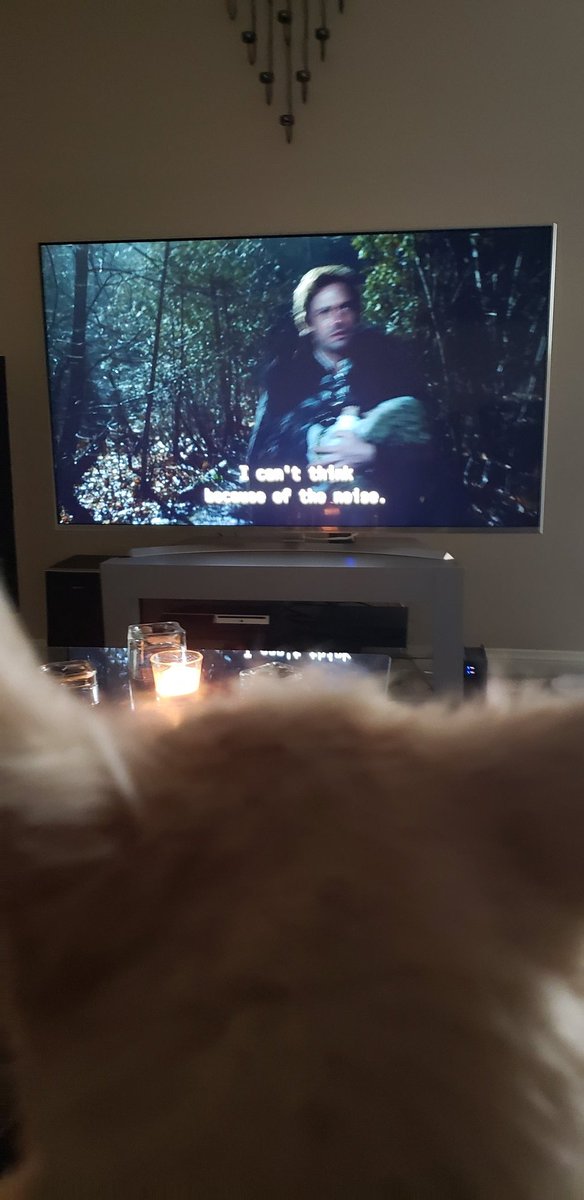 When you and a pup watch tv together..best company ever. 😊