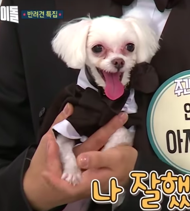 moved 📌 (@ssamdayy) on Twitter photo 