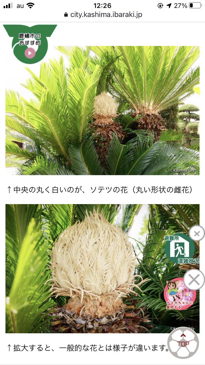 86 84 Cerca Al Twitter