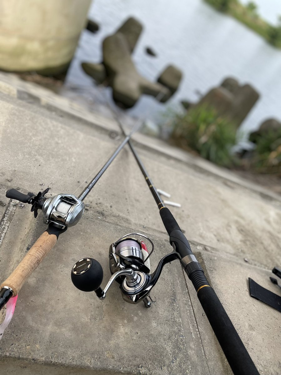Haruki 海釣り垢 Fishingsaitama Twitter Haruki 海釣り垢 Fishingsaitama Twitter