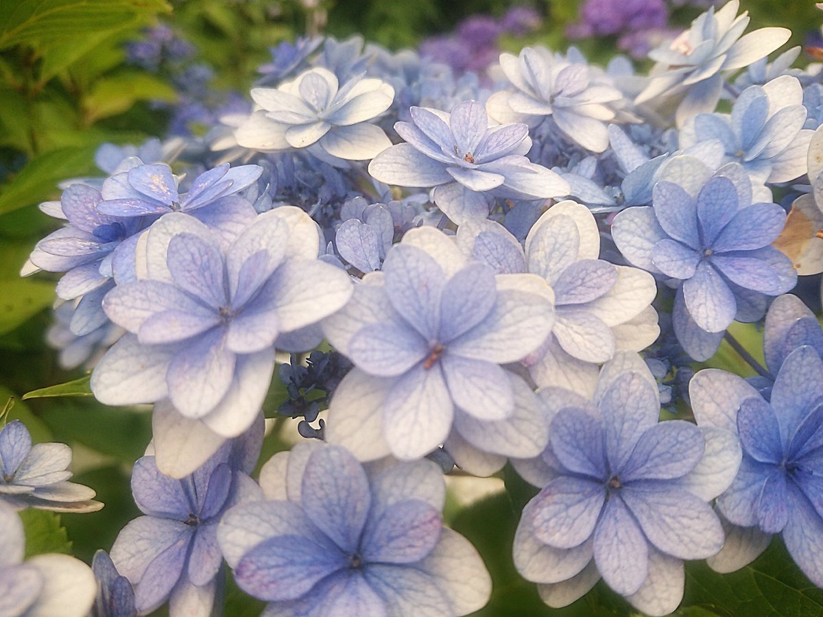 mi4rinrin's tweet photo. нёιιο𓂃܀ꕤ୭* https://t.co/GvMSB6BWqF