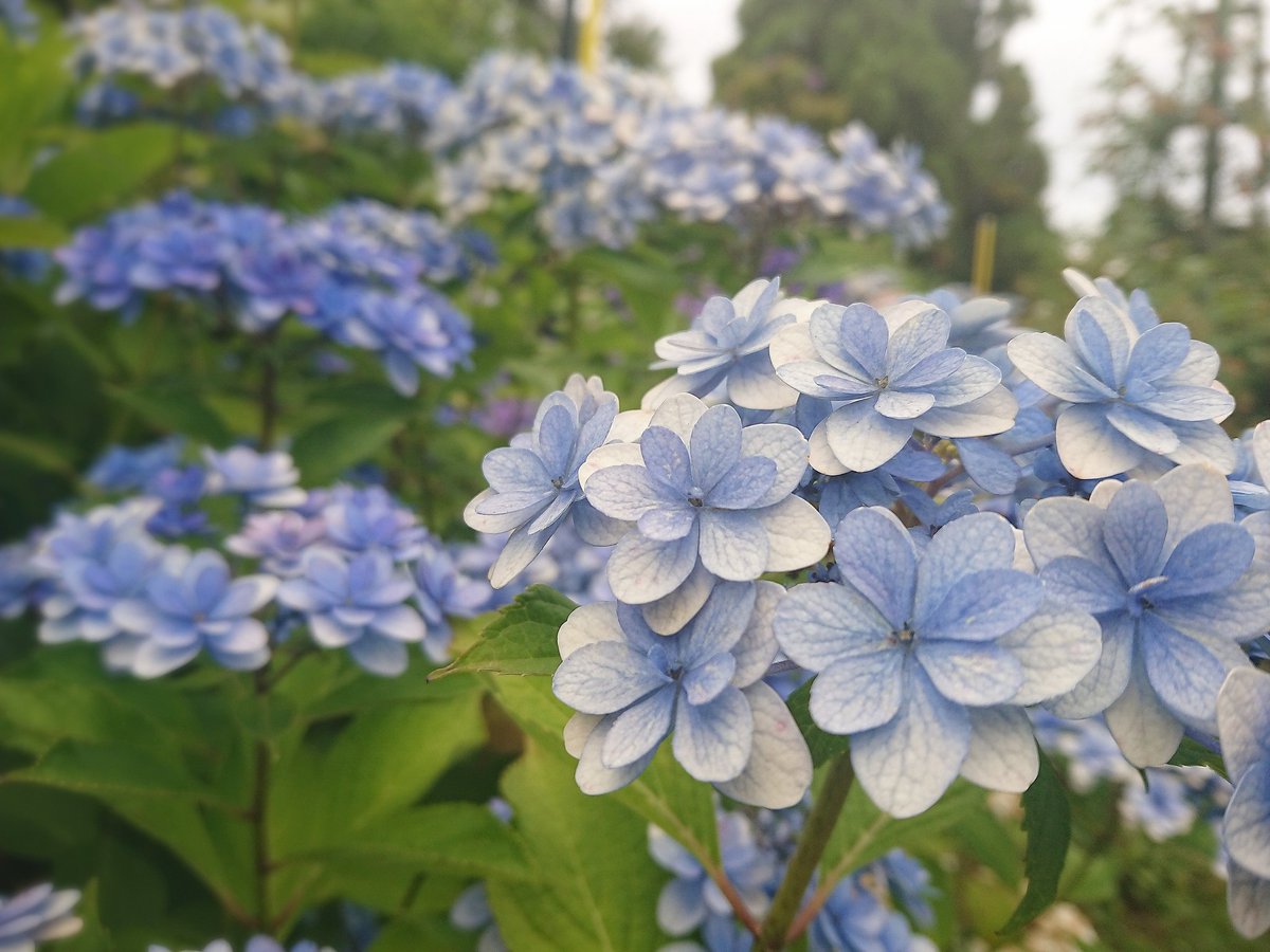 mi4rinrin's tweet photo. нёιιο𓂃܀ꕤ୭* https://t.co/GvMSB6BWqF