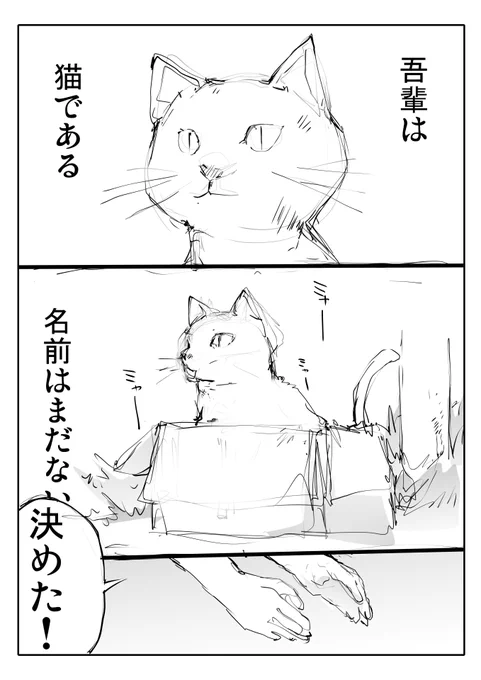 2Pで終わる「吾輩は猫」 