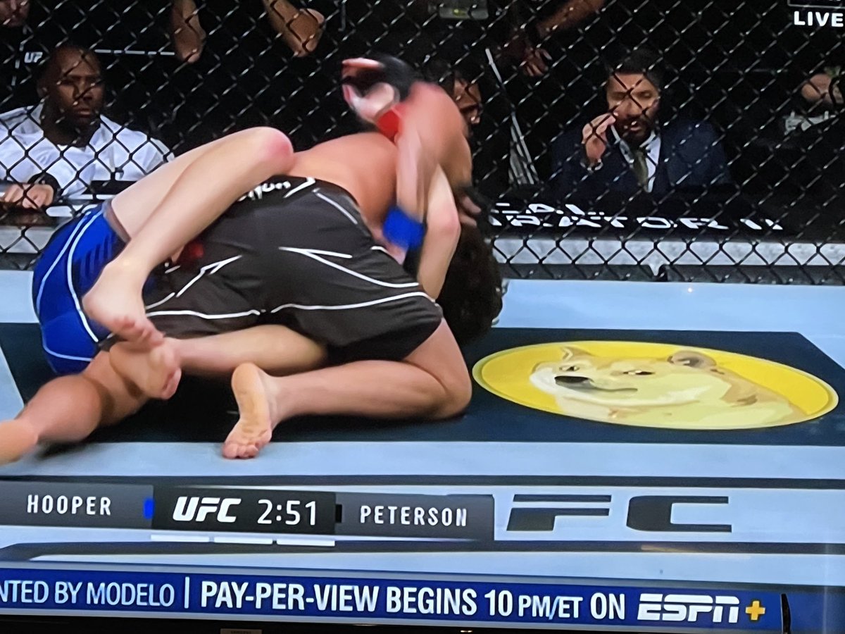 Jfeitlin's tweet photo. I think everyone is looking at the doge adverstiment over the actual fight.  🤣 #dogeufc #doge #dogecoin https://t.co/7j2xQ8IK9r
