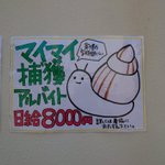 日給8000円、カタツムリ捕獲のアルバイトが募集中!