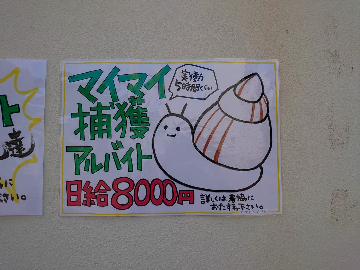 日給8000円、カタツムリ捕獲のアルバイトが募集中！