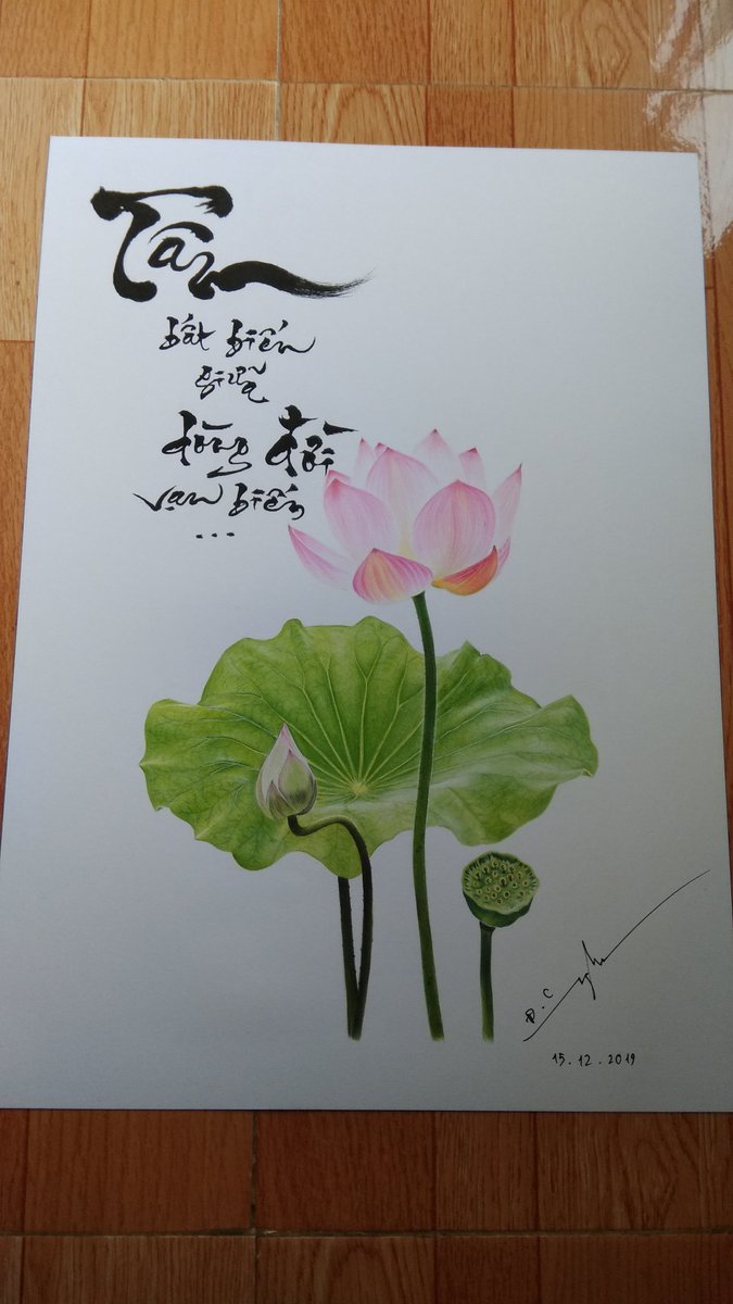 D C Nghi tweet media