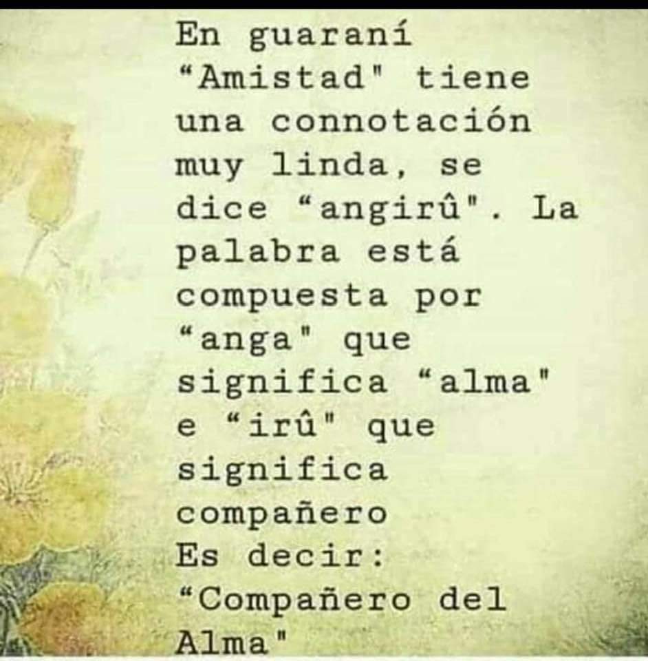 LuisaSunol's tweet photo. En guaraní "Amistad "tiene una connotación muy linda, se dice"angirú". La palabra está compuesta por "anga"que significa "alma" e "irú" que significa compañero. Es decir "Compañero del Alma". Buenas Noches 🌙 .
#Corrientes #Chamigo 🇦🇷 . https://t.co/mtXXt746fJ