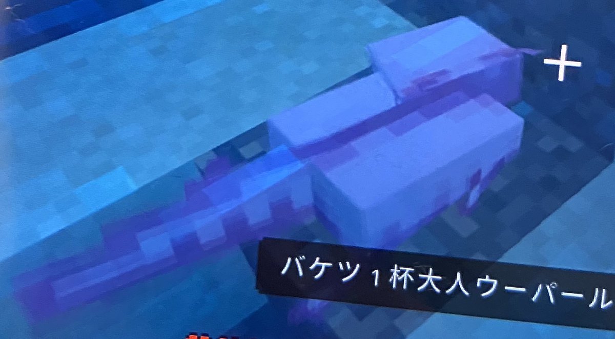 漣華月ゆっくりの人 でりーと教徒 永久猫化 一時期話題になった 白いキリンみたいな個体って 認識で合ってます