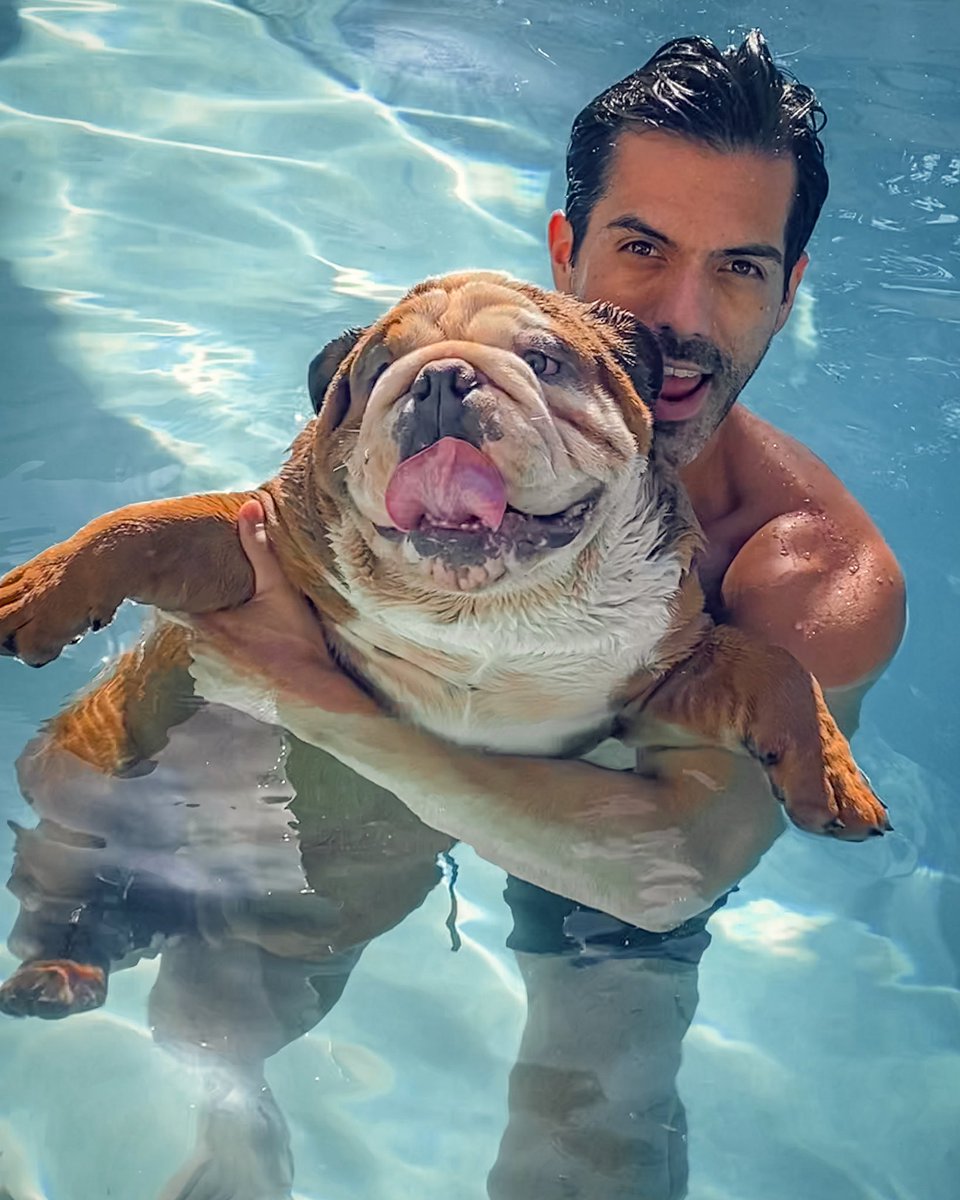 KevenRamirez's tweet photo. Este gordito trae salvavidas incluido.🐶💦 https://t.co/irY0xndKjM