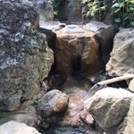 ツイートに含まれる画像