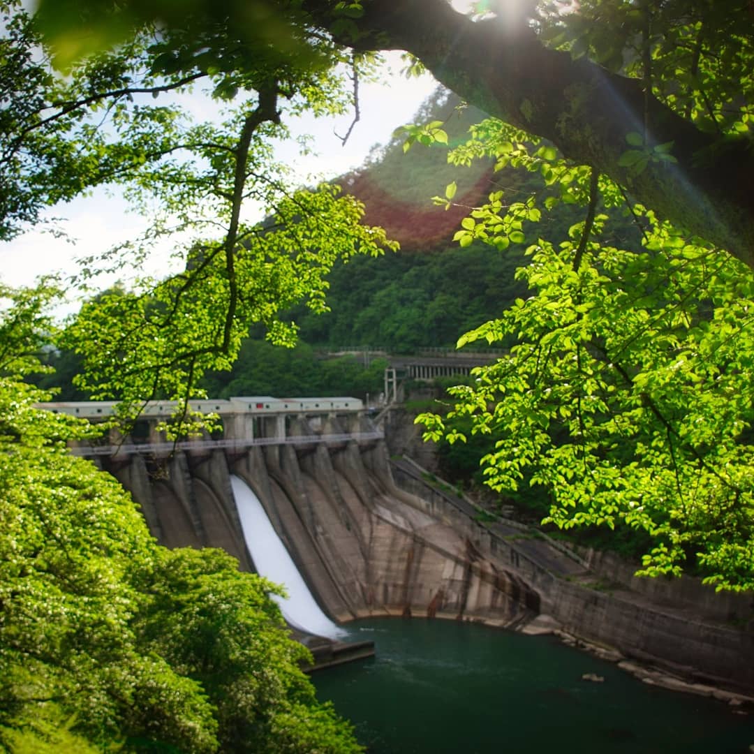 霧幻峡 Twitter Search