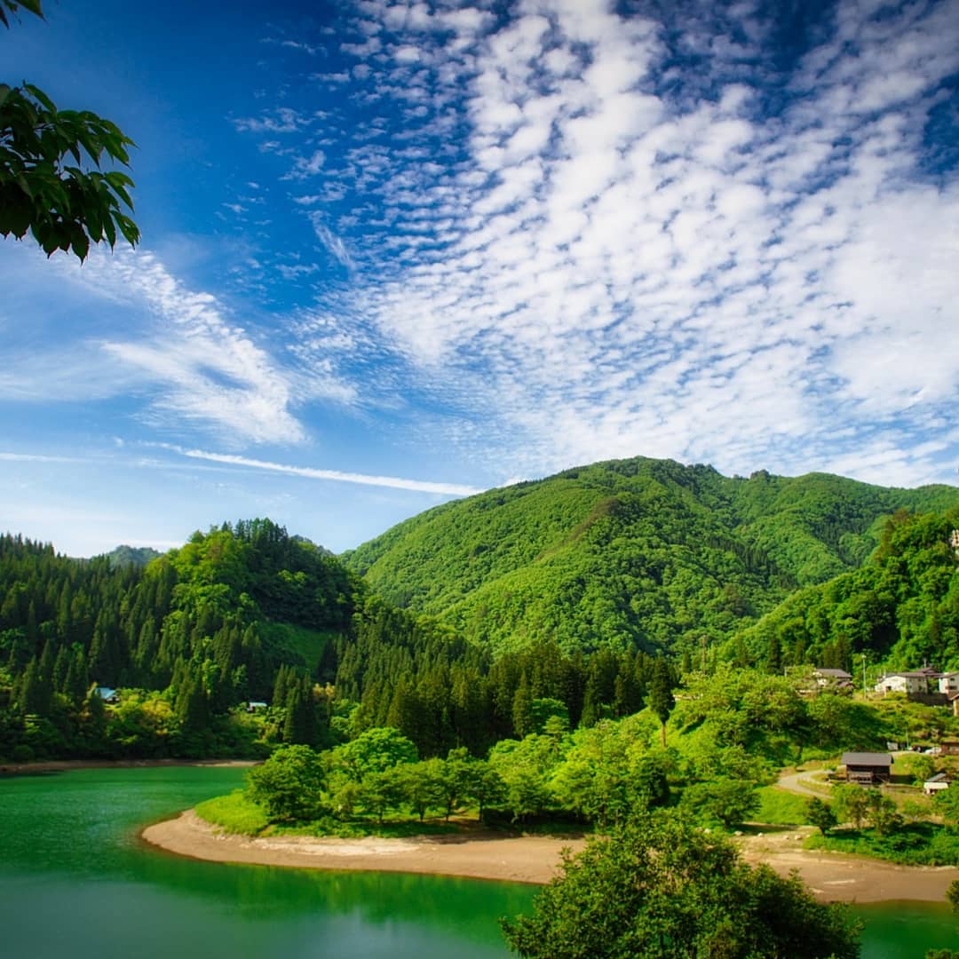 霧幻峡 Twitter Search