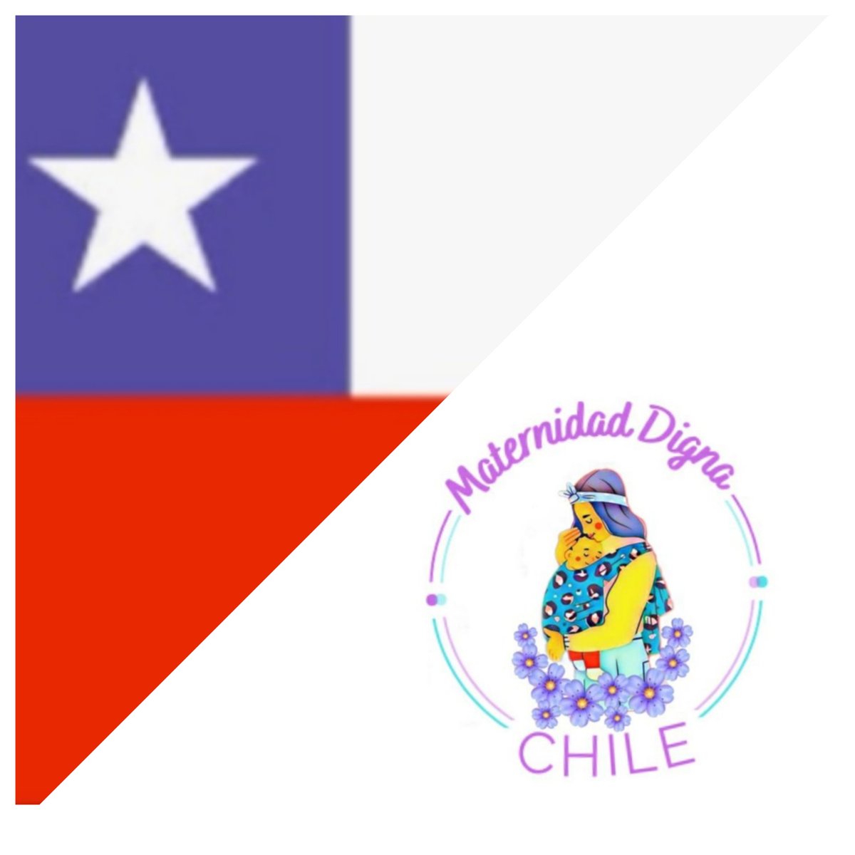 MaterVidaMujer's tweet photo. @CHVNoticias Por una #MaternidadDignaChile

 Exigimos 
#ExtensionEstadoCatastrofe

no queremos seguir diciendo que... 
#LaMaternidadSeCastigaEnChile

@MaterDignaChile apoya a los Médicos de Chile 💜💪 @colmedchile

#RenunciaParis https://t.co/FYSGehr48q