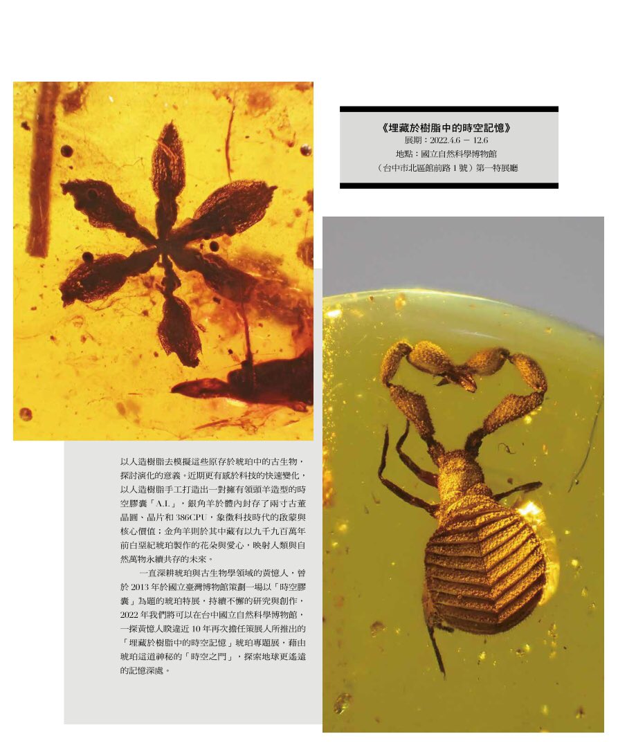 amber_boy's tweet photo. 感謝PRESTIGE 品雜誌6月份的報導
永恆的時空記憶 Eternal Treasures
內文預告明年的重量級展訊
#Prestigetaiwan #amberboy #國立自然科學博物館 https://t.co/i9SQySL73r