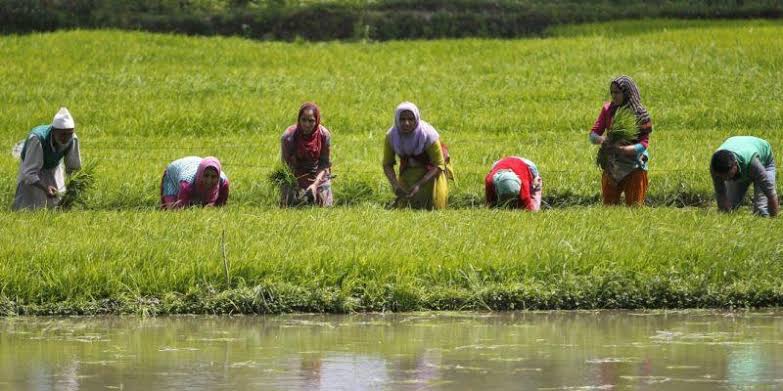 Treat farmers well.
Listen their problems.

#200_दिन_किसान_आंदोलन