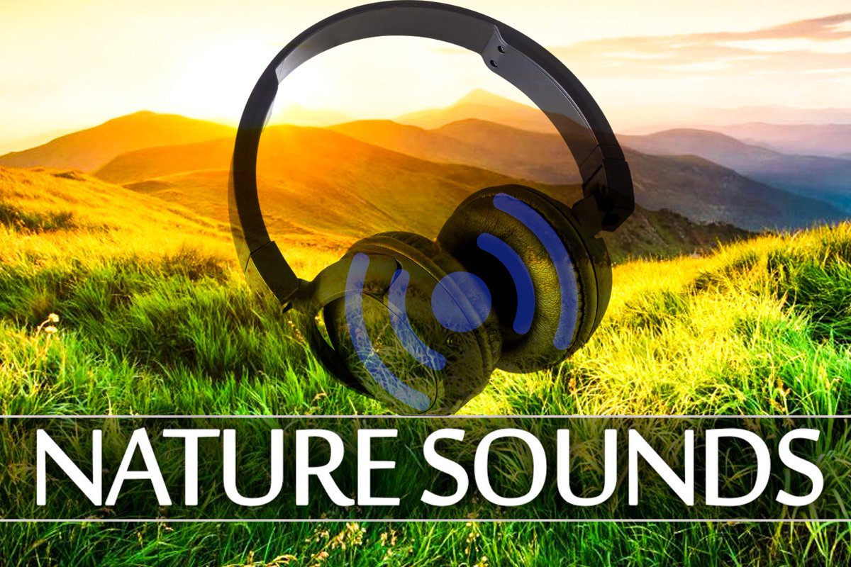 5StarMeditation's tweet photo. Take time and relax your mind. Listen to the soothing sounds of the nature while you unwind. - Five Star Meditation - https://t.co/TQg1s5AO0R https://t.co/jJS9KBzPZA