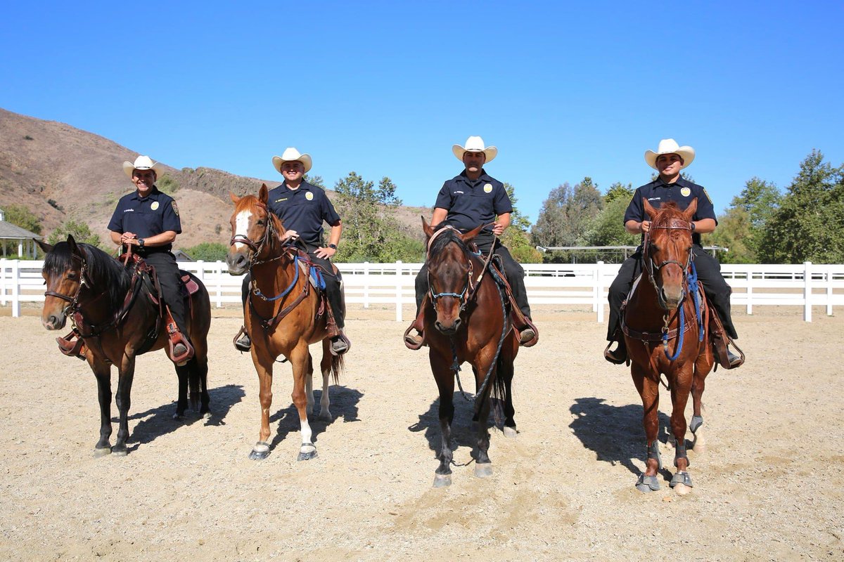 OxnardPolice's tweet photo. Remount!
After many years, the Oxnard Police Department Mounted Unit is trotting back - set to return later this year. Check out our #SundaySpotlight tomorrow to meet the team!
---
#oxnard #oxnardpd #oxnardpolice #OxnardPoliceDepartment #mountedunit #venturacounty https://t.co/PN1A0X7Qy3