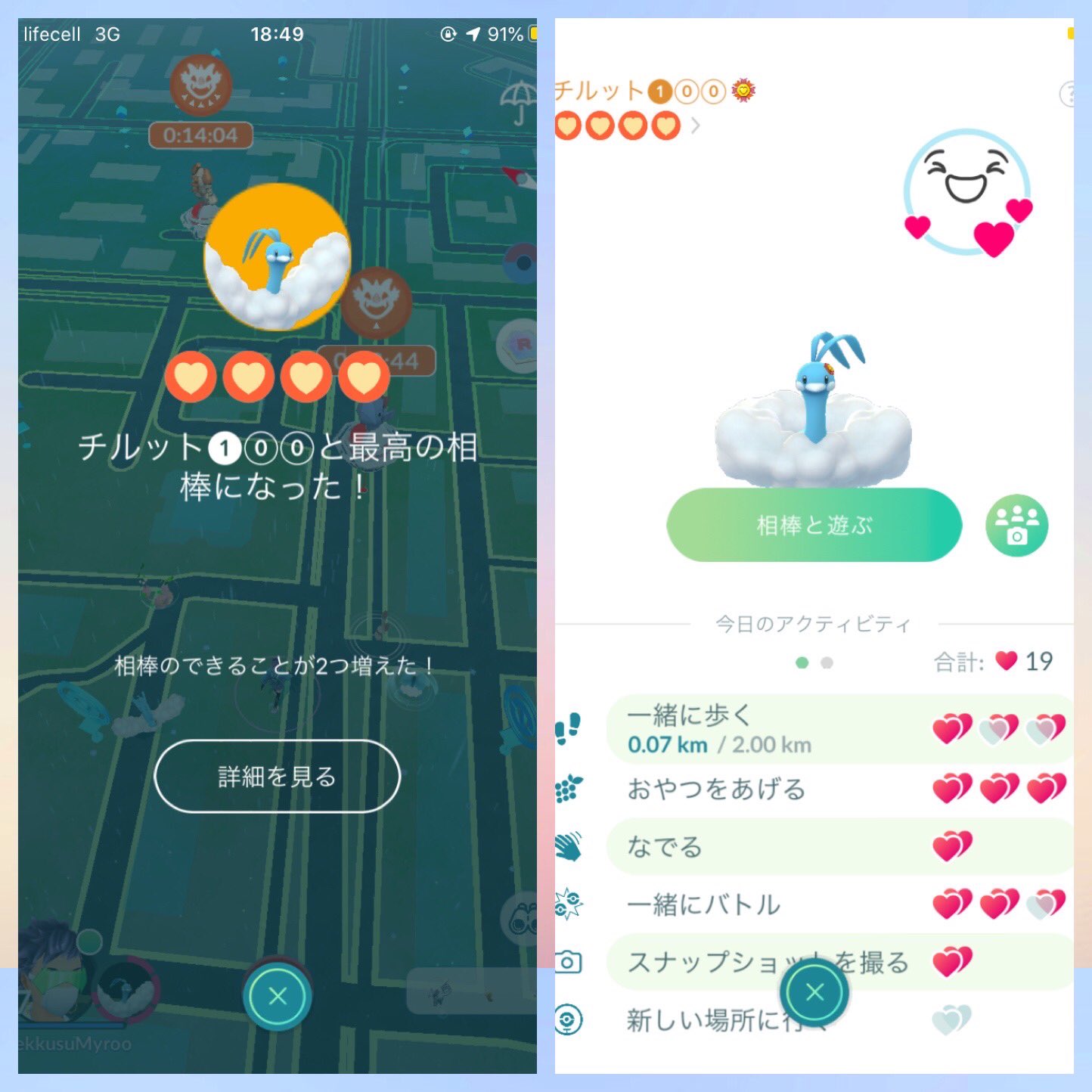 Megaaltaria Twitter Search Twitter