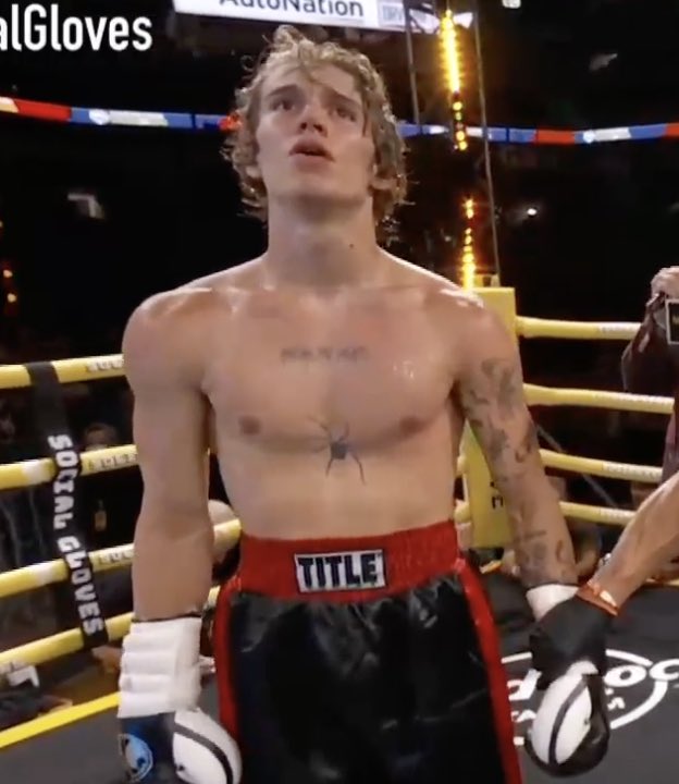 vinnie archive tweet media