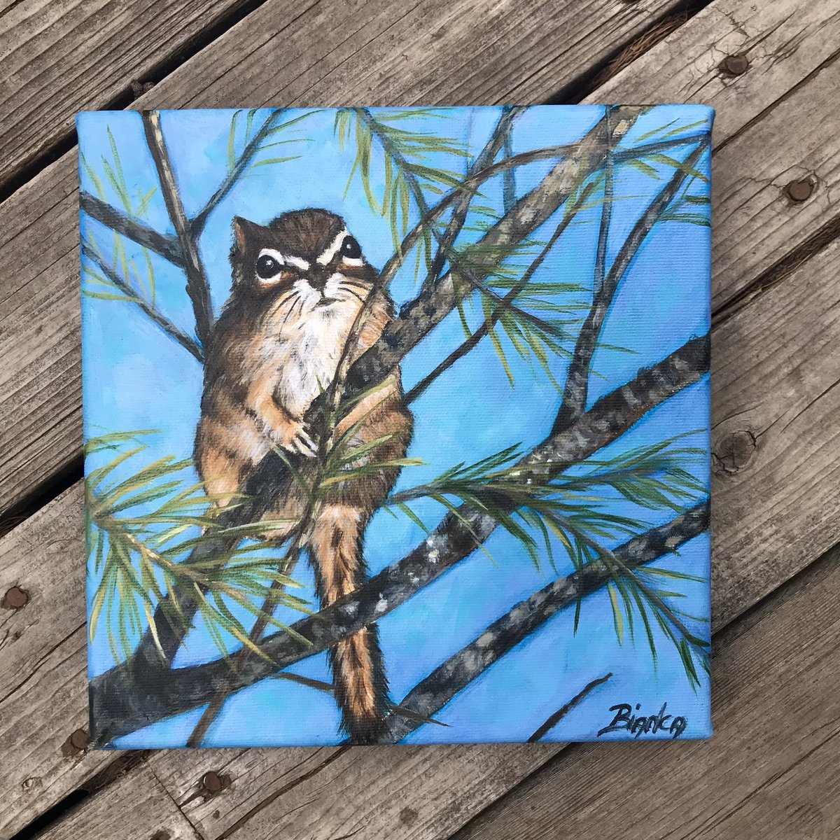 artbybiancaa's tweet photo. Acrylic painting Titled,
“ Not So Happy
Chipmunk “
I’m not sure why this little guy was grumpy. I took his photo and off I went.
#paintedchipmunk #Okanagan #art #FCA #galleryartist #osoyoos #smallcreature #wildlifeart https://t.co/Xa260JVHaz