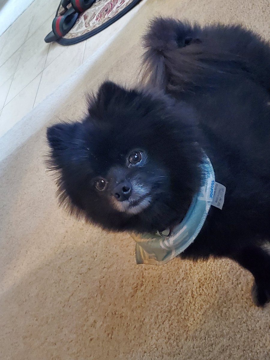 Timothy L. Smith tweet media