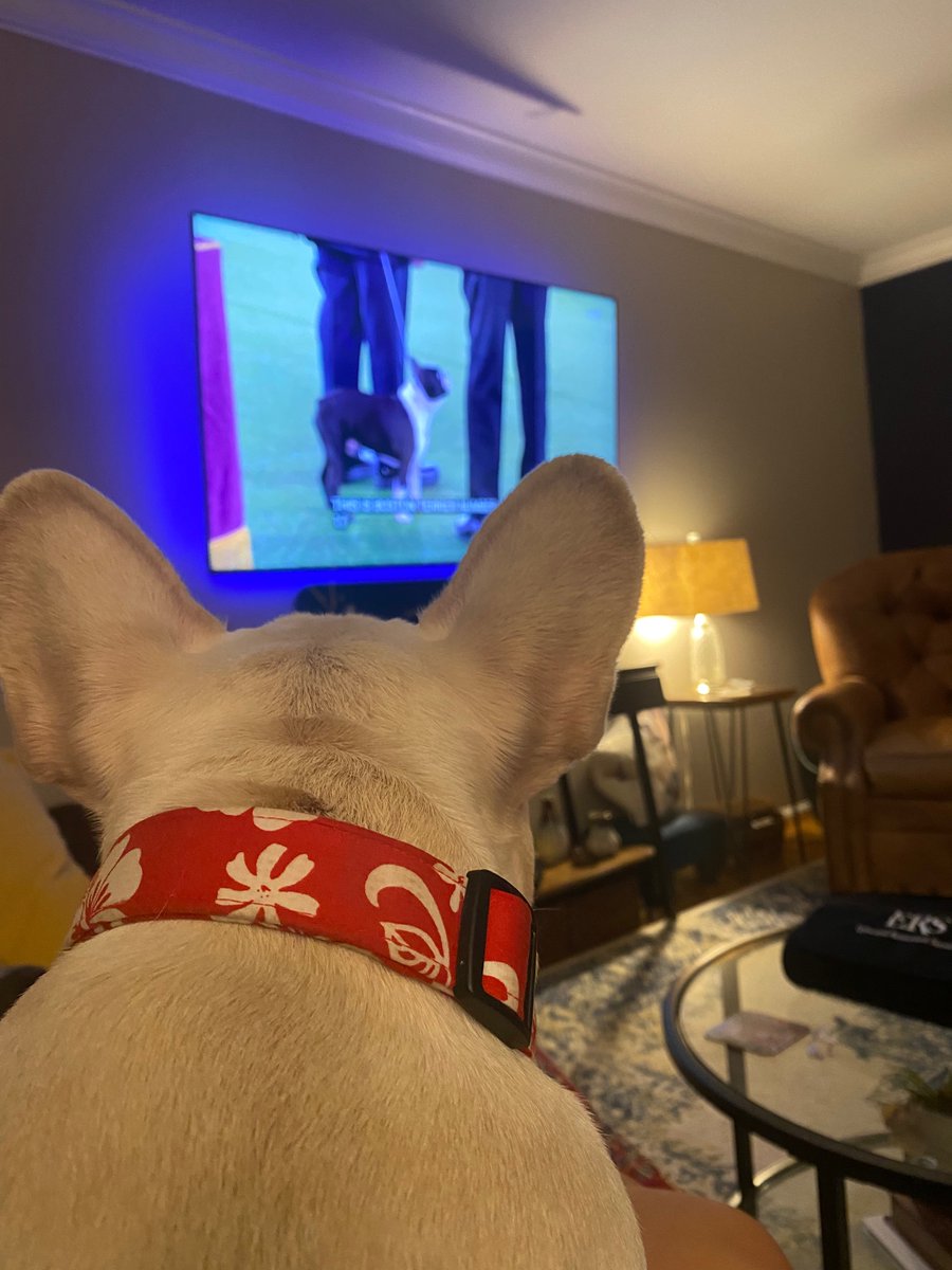 Madeline Fisk tweet media