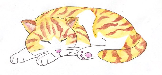 眠り猫のtwitterイラスト検索結果