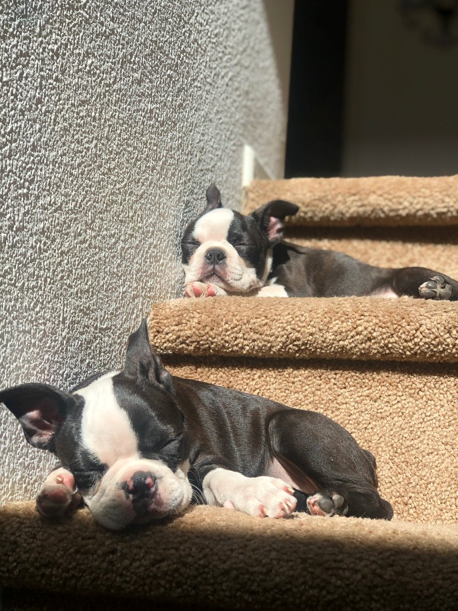 jusmeac's tweet photo. #BestAtHomeContest #HomeDepot https://t.co/gepIaZ1wsB