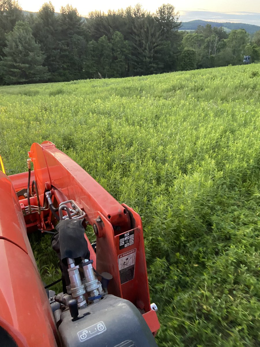 NGolemis's tweet image. 