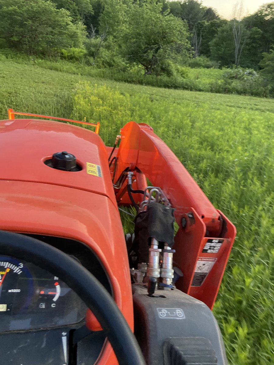 NGolemis's tweet image. 